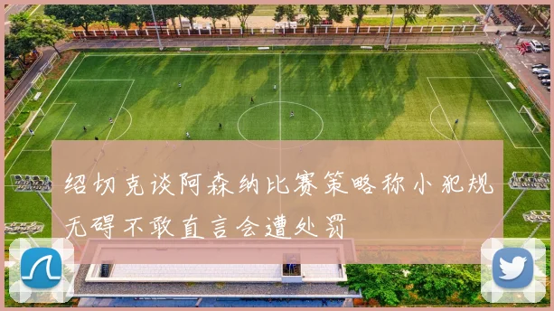绍切克谈阿森纳比赛策略称小犯规无碍不敢直言会遭处罚
